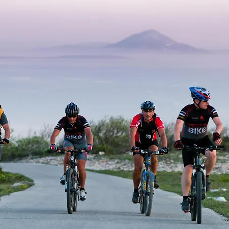 Stunning In With Wifi *